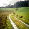 Meadow and countryside road Germany