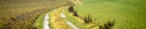 Meadow and countryside road Germany